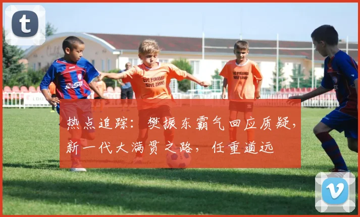 热点追踪:樊振东霸气回应质疑,新一代大满贯之路,任重道远